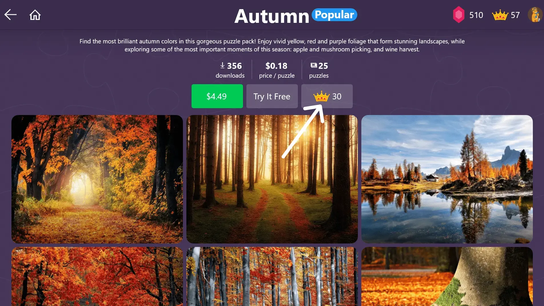 Autumn Puzzle Pack