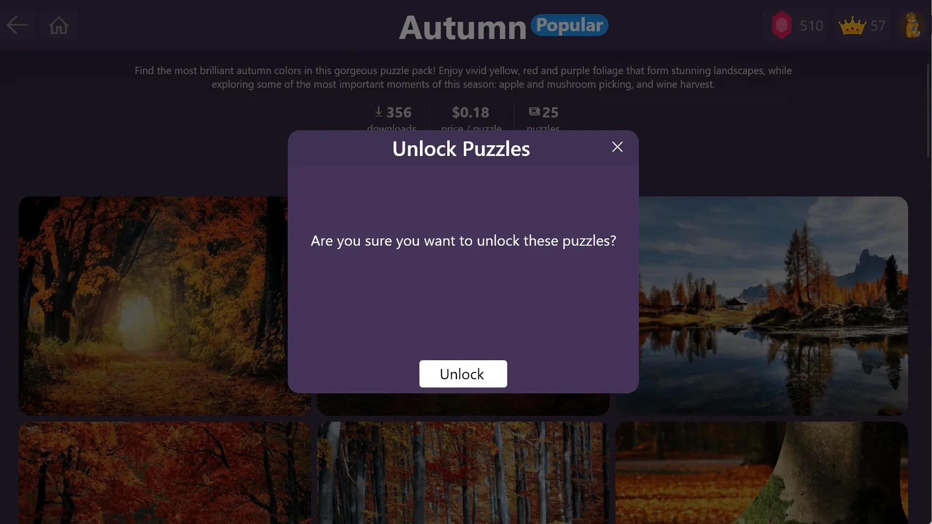 Unlock Puzzles Confirmation Dialog