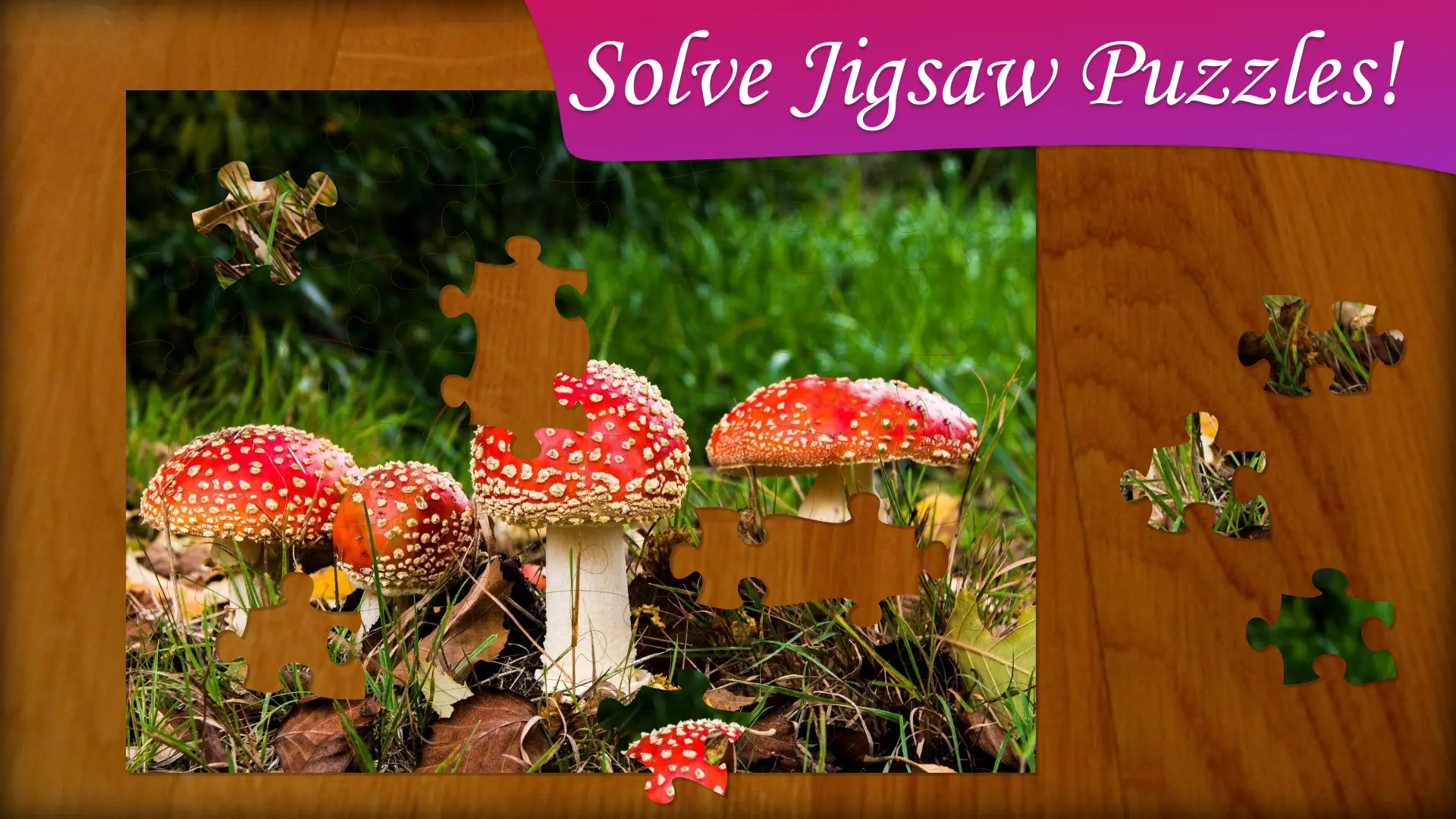 Screenshot of Jigsaw Puzzle Frenzy